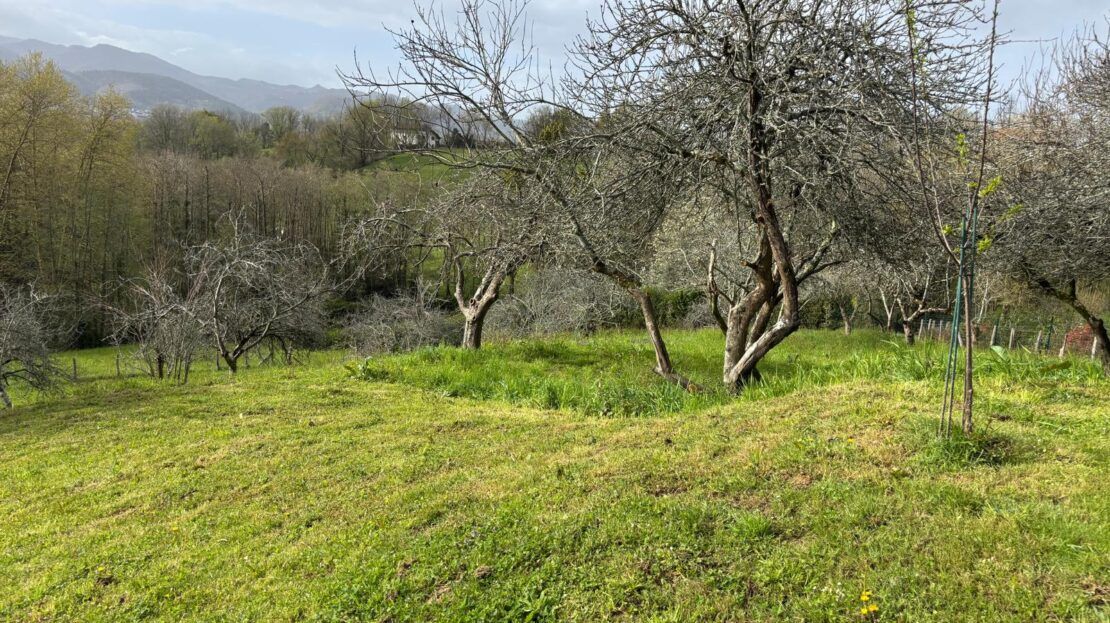 Chalet Arkolla Hondarribia 12